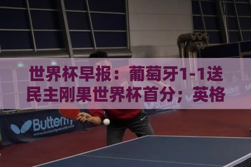 世界杯早报：葡萄牙1-1送民主刚果世界杯首分；英格兰4-2克罗地亚
