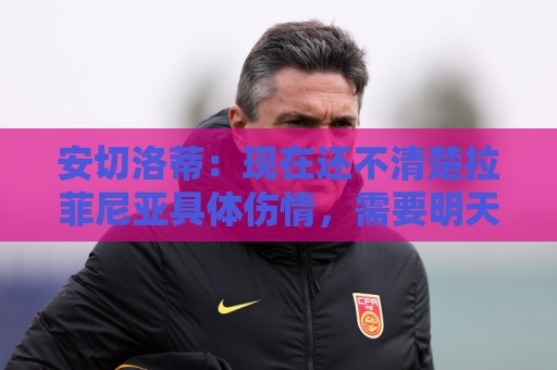 安切洛蒂：现在还不清楚拉菲尼亚具体伤情，需要明天进行评估
