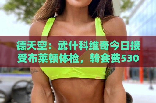 德天空：武什科维奇今日接受布莱顿体检，转会费5300万+500万欧