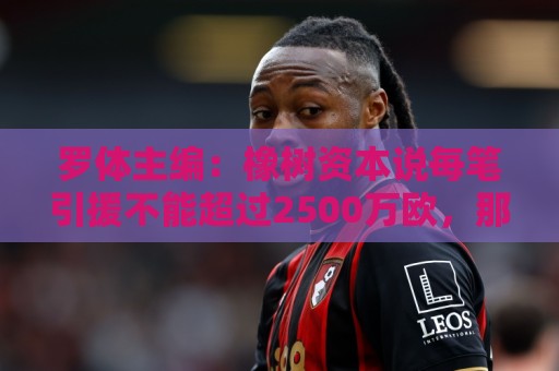 罗体主编：橡树资本说每笔引援不能超过2500万欧，那国米能买什么