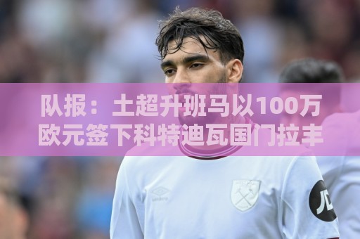 队报：土超升班马以100万欧元签下科特迪瓦国门拉丰，将签约三年