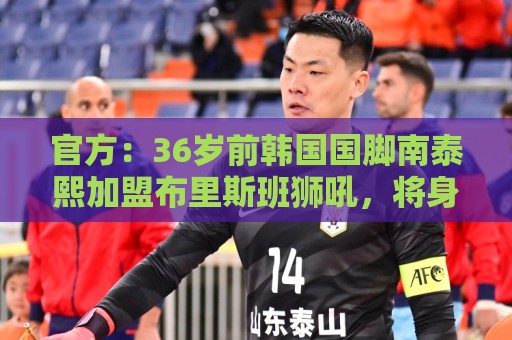 官方：36岁前韩国国脚南泰熙加盟布里斯班狮吼，将身披10号球衣