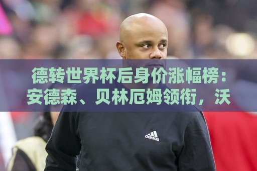 德转世界杯后身价涨幅榜：安德森、贝林厄姆领衔，沃齐尼亚翻十倍