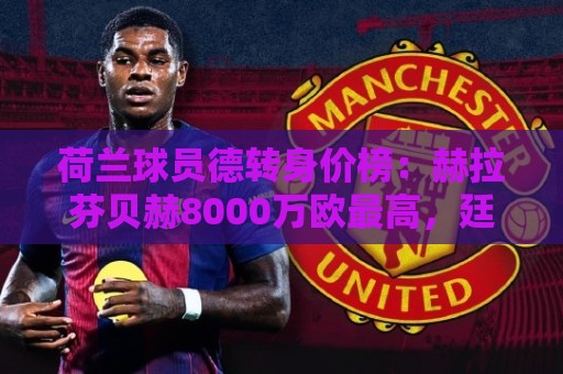 荷兰球员德转身价榜:赫拉芬贝赫8000万欧最高,廷伯7000万欧次席 荷兰球员德转身价榜:赫拉芬贝赫8000万欧最高,廷伯7000万欧次席