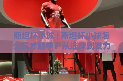 斯坦杯小球 | 斯坦杯小球怎么玩才顺手？从选球到发力，聊聊那些容易被忽略的手感细节🟨线上十大最稳下球站积分榜超清网站新用户免费无延迟