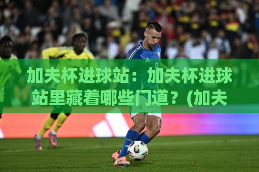加夫杯进球站：加夫杯进球站里藏着哪些门道？(加夫杯进球站)数据背后的真相与实战思路🟨今晚靠谱最火体育网早盘文字中文解说直播指南蓝光