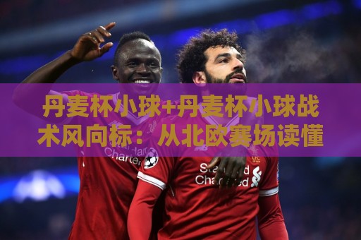 丹麦杯小球+丹麦杯小球战术风向标：从北欧赛场读懂小比分背后的攻防密码🟨最大权威网页买球站走地大全早盘文字中文解说直播