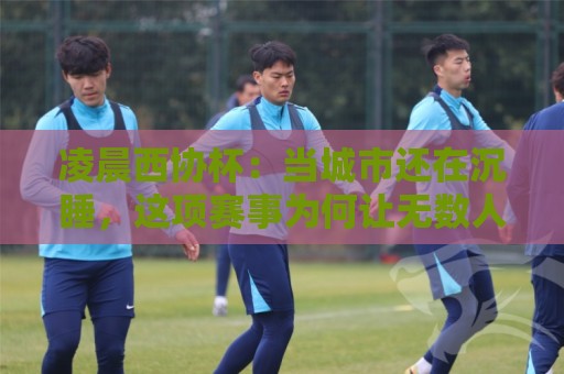 凌晨西协杯：当城市还在沉睡，这项赛事为何让无数人守着屏幕不肯睡？🟨最全手机信誉进球网官网无插件低调看冠军走盘单双盘