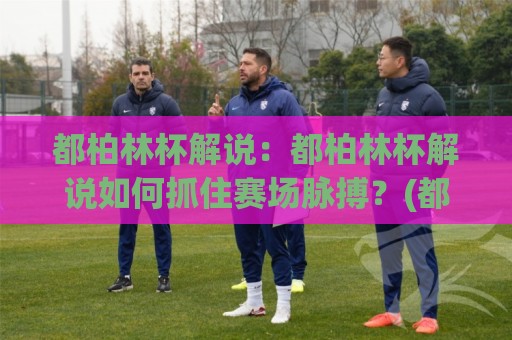 都柏林杯解说：都柏林杯解说如何抓住赛场脉搏？(都柏林杯解说)带你听懂每一脚传递🟨最全手机信誉体球网半全场动画水位精彩片段流畅代理