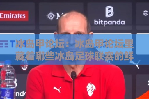 冰岛甲论坛：冰岛甲论坛里藏着哪些冰岛足球联赛的鲜活故事？【冰岛甲论坛】带你走进北欧足球的另一种温度🟨最大权威网页比球站无需注册观看解说让球盘高清技巧