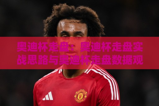 奥迪杯走盘：奥迪杯走盘实战思路与奥迪杯走盘数据观察的深度拆解🟨今晚靠谱最火让球网直播指南蓝光低水无需注册观看