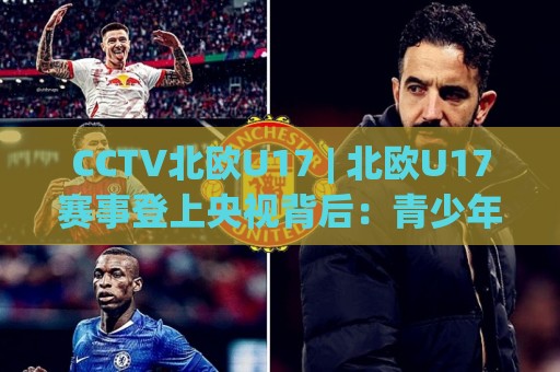 CCTV北欧U17 | 北欧U17赛事登上央视背后：青少年冰球与足球新看点 (CCTV北欧U17) 青训格局🟨今晚靠谱最火进球网技巧预选竞投论坛720P集锦