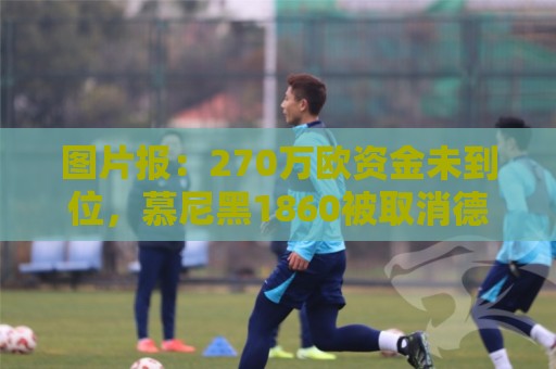 图片报：270万欧资金未到位，慕尼黑1860被取消德丙参赛资格
